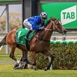 Seradess Remains Unbeaten Seradess Remains Unbeaten